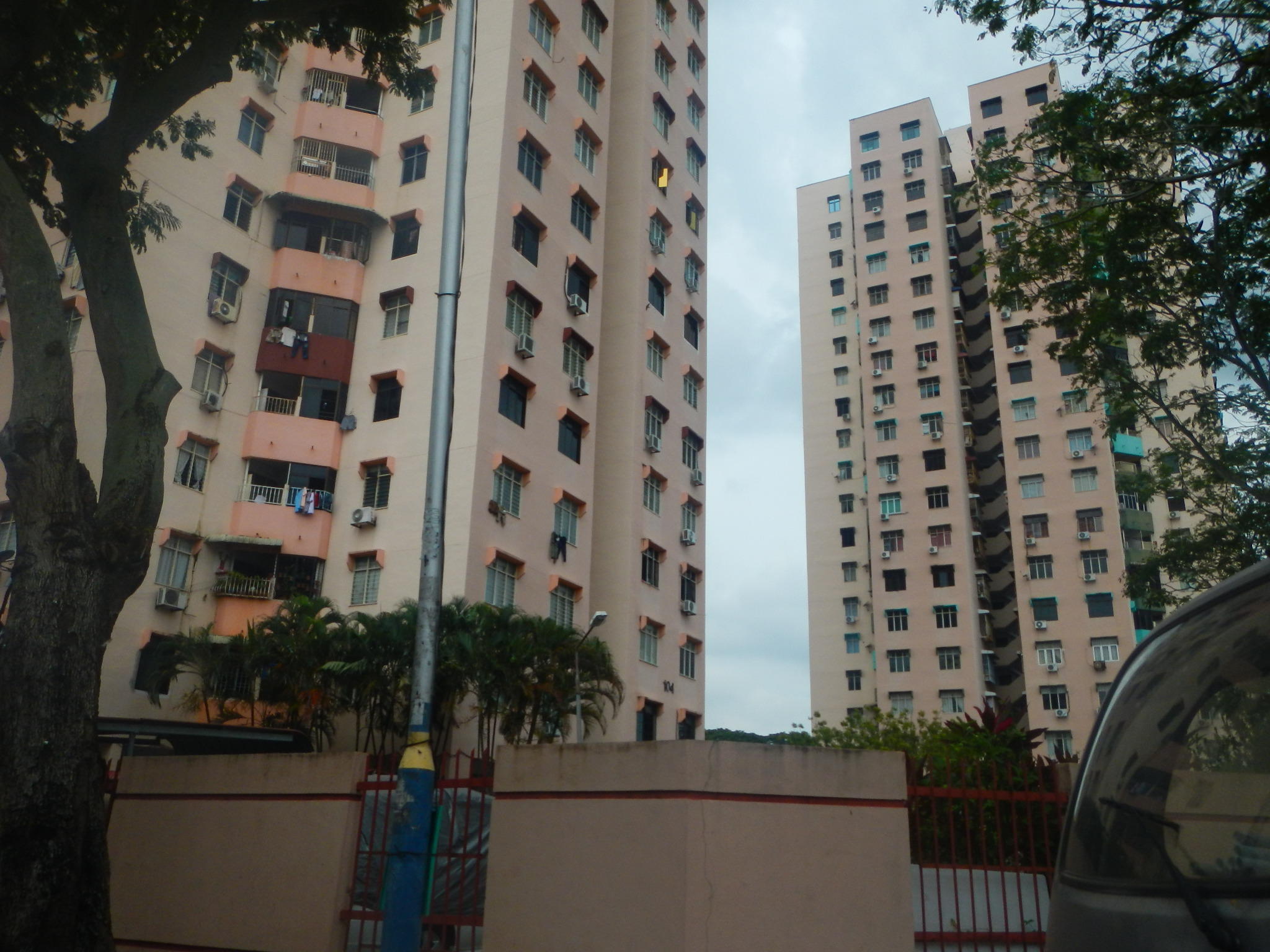 135132445379913206366