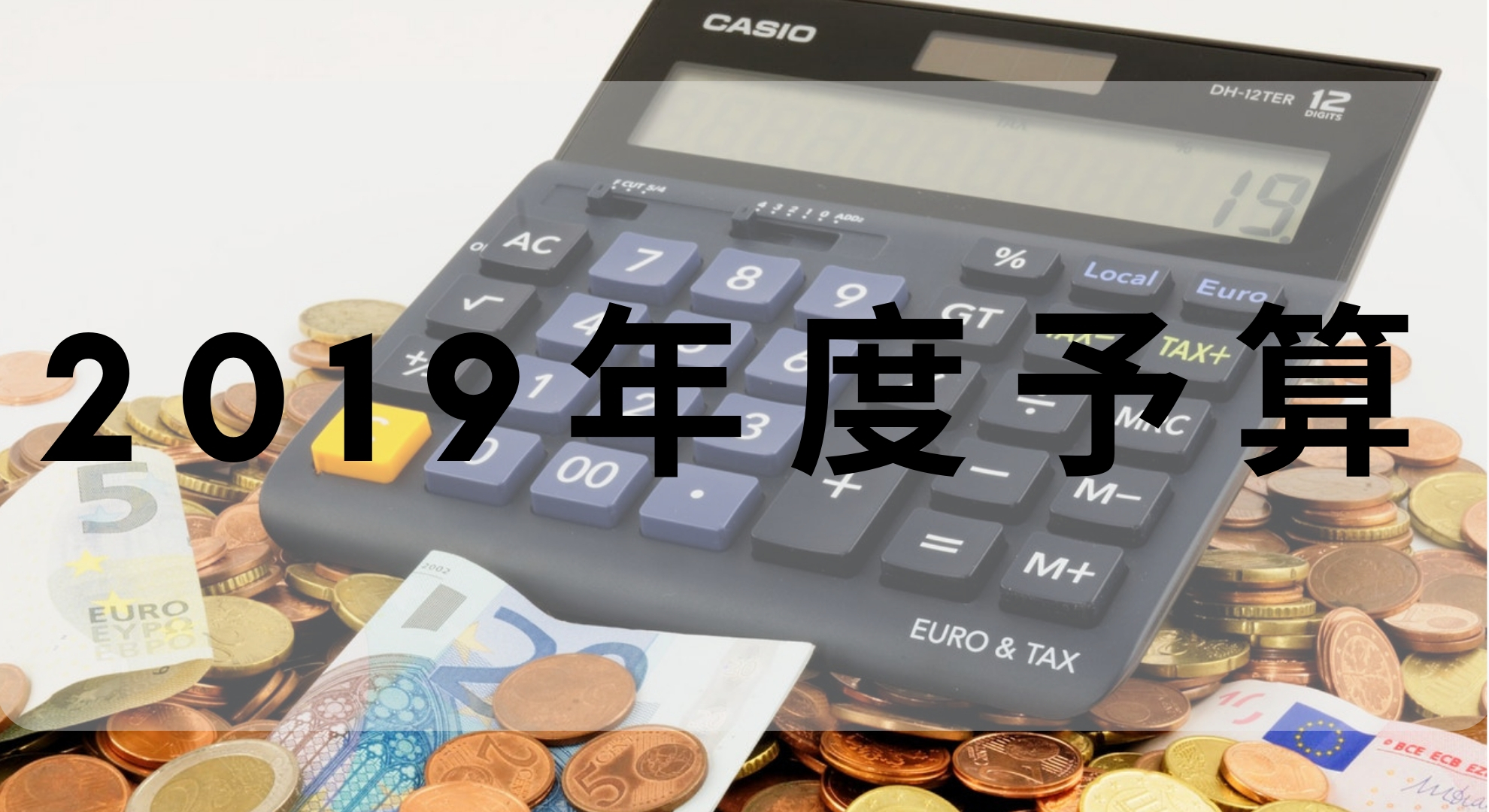 【2019年度予算】今年の生活費は年間100万円とします。【最終版】