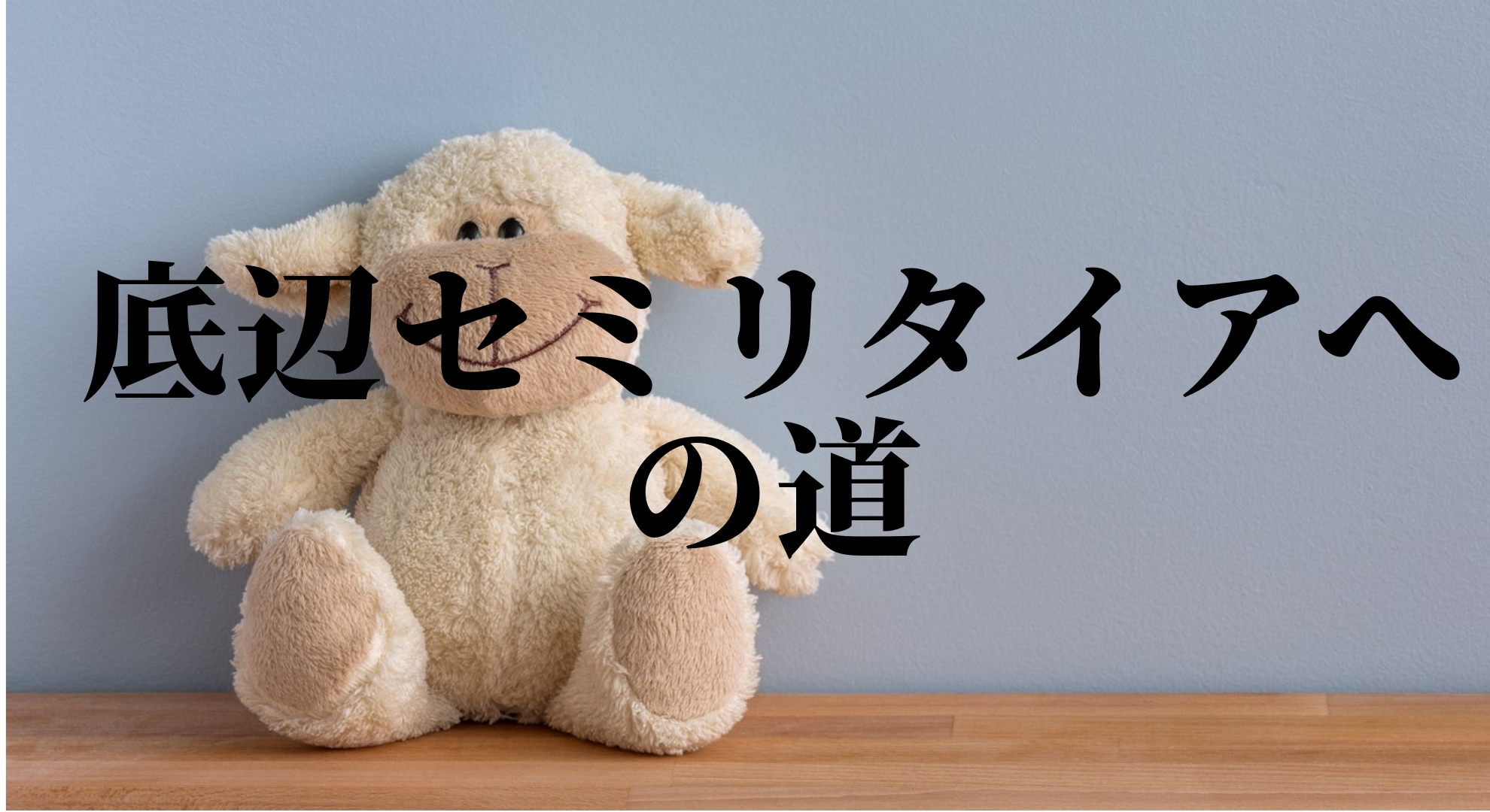 【2019年度版】月収20万円からの底辺セミリタイアへの道・生活費・投資・貯金編